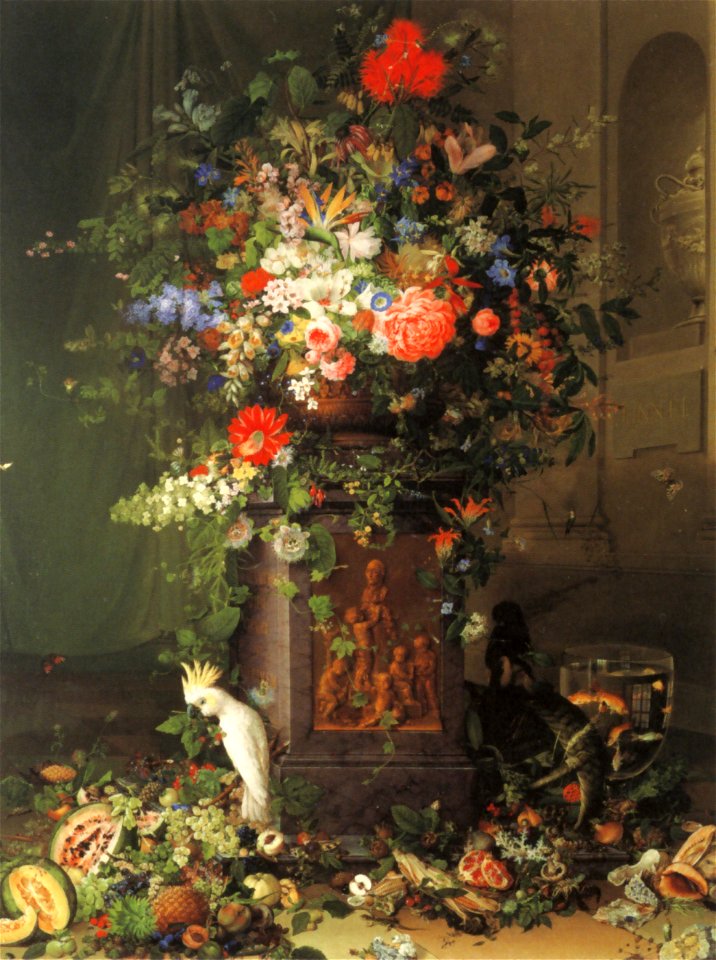Johann Knapp, Huldigung an Jacquin