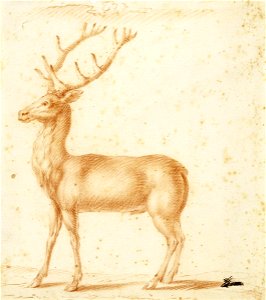 Johann Heinrich Roos - A Stag - Google Art Project
