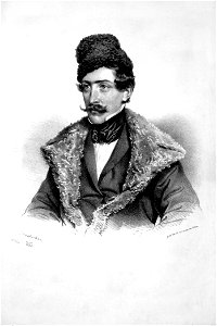 Johann Nepomuk Patera Litho