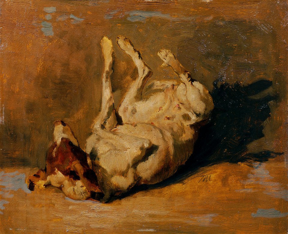 Johann Till der Jüngere - Sich wälzender Hund - 5204 - Österreichische Galerie Belvedere