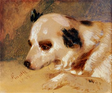 Johann Matthias Ranftl - Hundekopf - 3694 - Österreichische Galerie Belvedere
