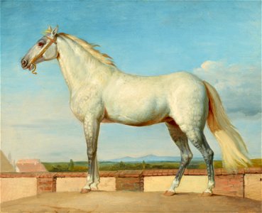 Johann Peter Krafft - Schimmel vor einer niederen Mauer - 6675 - Österreichische Galerie Belvedere