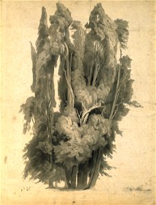 Johann Wilhelm Schirmer - Cypresses in the Park at Villa d’Este in Tivoli - Google Art Project