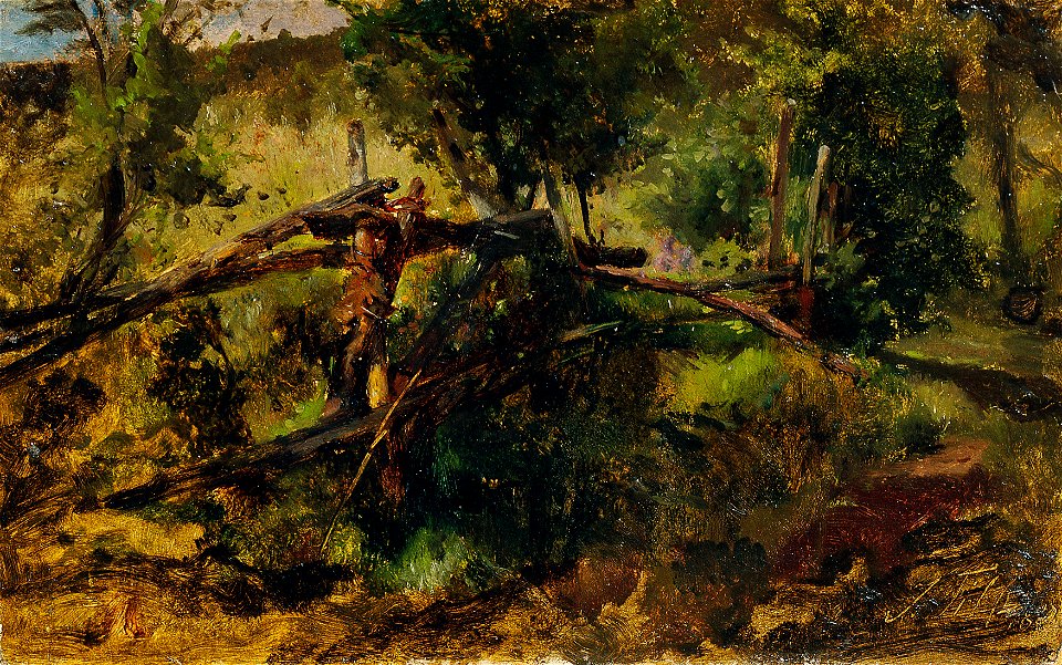 Johann Till der Jüngere - Waldweg mit Zaun - 5200 - Österreichische Galerie Belvedere