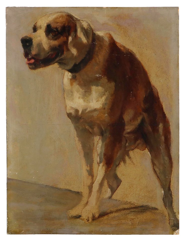 Johann Till dJ Boxer-Hund Studie
