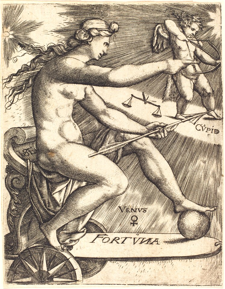 Johann Ladenspelder - Venus
