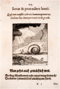 Johann-Vogel-Meditationes-emblematicae-de-restaurata-pace-Germaniae MGG 1016