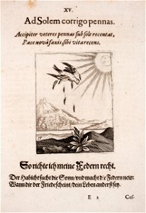 Johann-Vogel-Meditationes-emblematicae-de-restaurata-pace-Germaniae MGG 1024