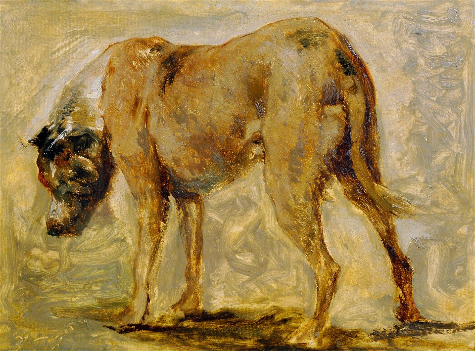Johann Till der Jüngere - Braune Dogge - 5195 - Österreichische Galerie Belvedere