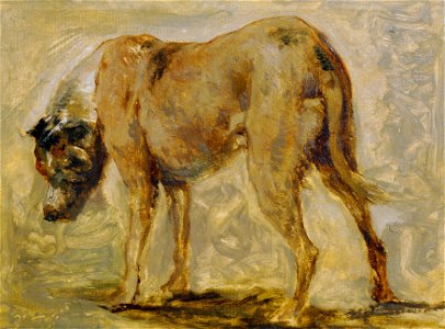 Johann Till der Jüngere - Braune Dogge - 5195 - Österreichische Galerie Belvedere