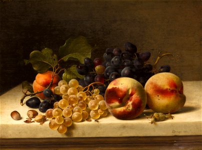Johann Wilhelm Preyer - Stilleben mit Pflaumen, Trauben und Haselnüssen