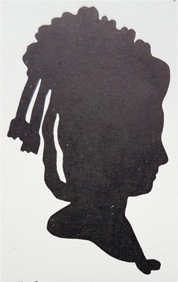 Johanna Carolina Helena Pollet x ok
