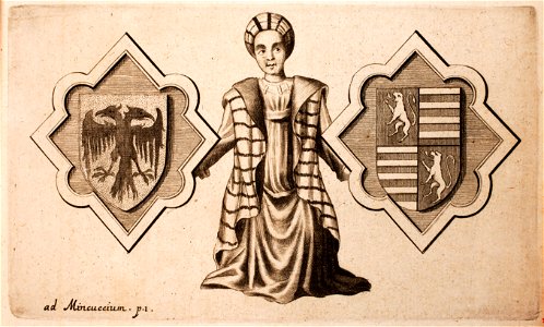 Johann-Schilter-Jo-Schilteri-Codex-juris-alemannici-feudalis MG 1280