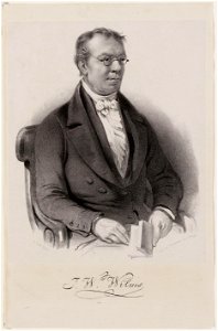 Johann Wilhelm Wilms - P Blommers, Afb 010097009461