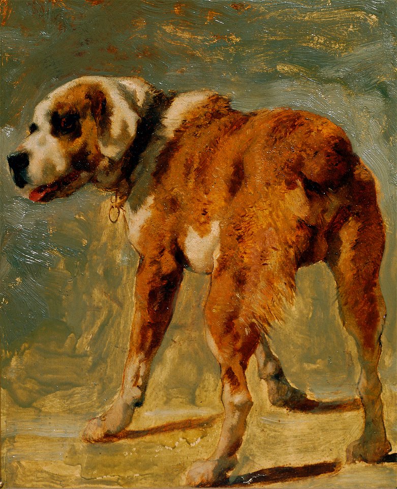 Johann Till der Jüngere - Bernhardiner - 5191 - Österreichische Galerie Belvedere