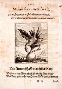 Johann-Vogel-Meditationes-emblematicae-de-restaurata-pace-Germaniae MGG 1034