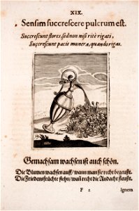 Johann-Vogel-Meditationes-emblematicae-de-restaurata-pace-Germaniae MGG 1029