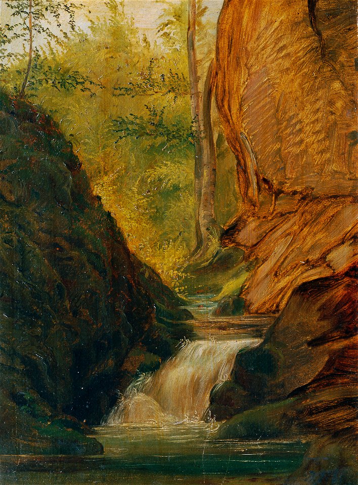 Johann Till der Jüngere - Waldbach - 5198 - Österreichische Galerie Belvedere