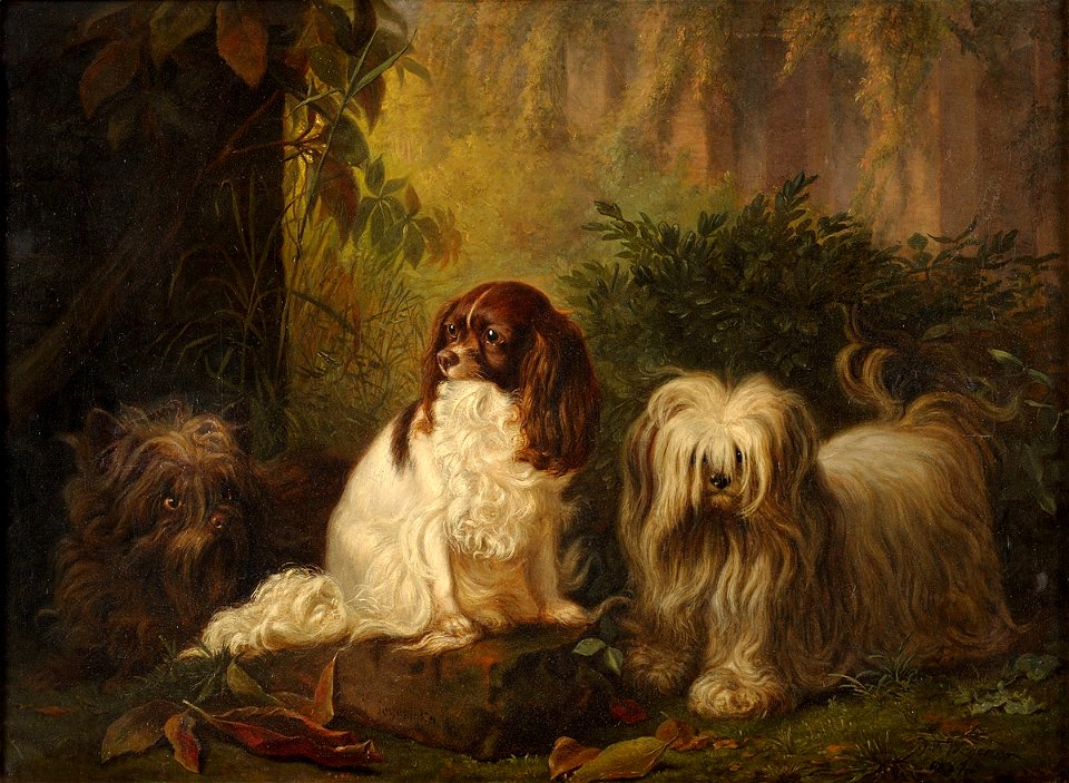 Johann Wegener Hunde