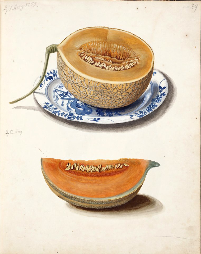 Johanna Fosie Melon halved and quartered (1755)