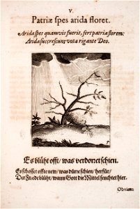 Johann-Vogel-Meditationes-emblematicae-de-restaurata-pace-Germaniae MGG 1014