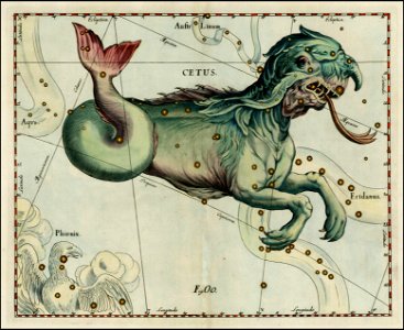 Johannes Hevelius - Cetus