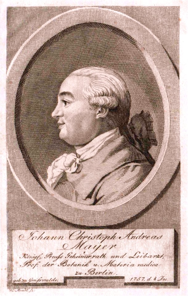JohannChristophAndreasMayer
