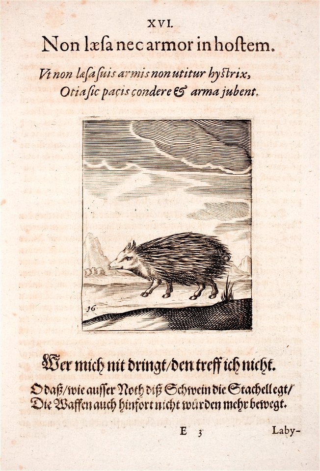 Johann-Vogel-Meditationes-emblematicae-de-restaurata-pace-Germaniae MGG 1026