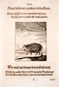 Johann-Vogel-Meditationes-emblematicae-de-restaurata-pace-Germaniae MGG 1026