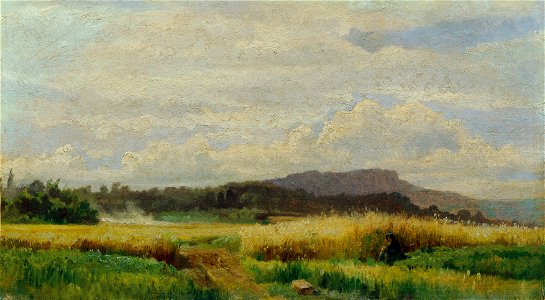 Johann Till der Jüngere - Getreidefeld mit alter Frau - 5190 - Österreichische Galerie Belvedere