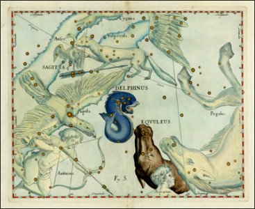 Johannes Hevelius - Delphinus and Equuleus