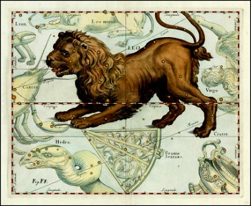 Johannes Hevelius - Leo