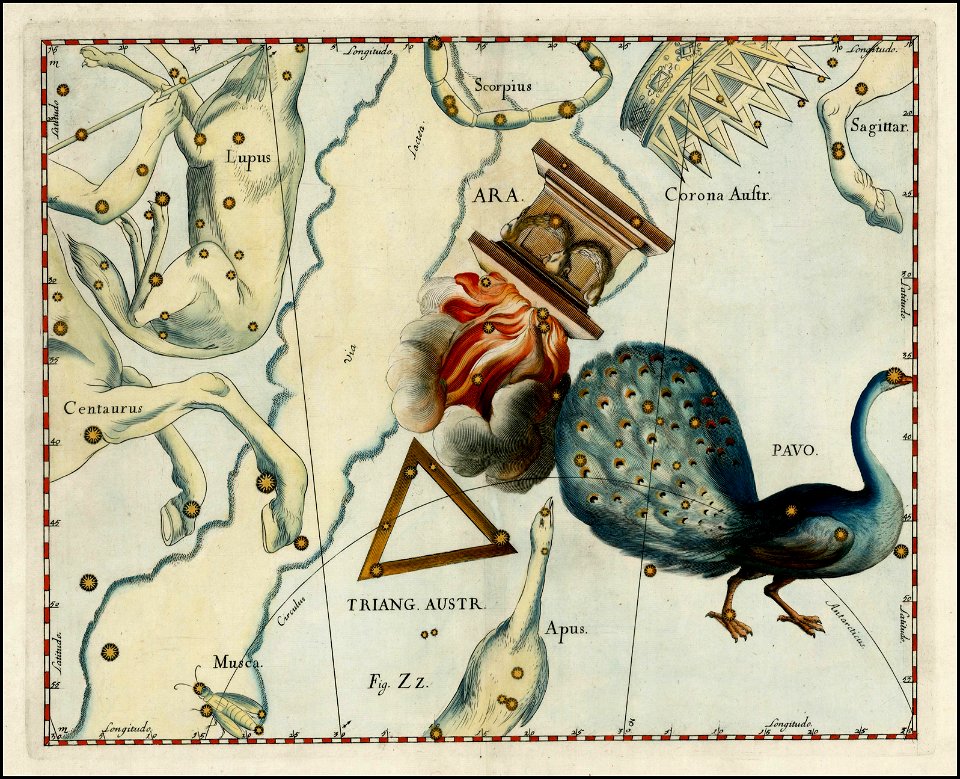 Johannes Hevelius - Pavo, Ara and Triangulum Australe
