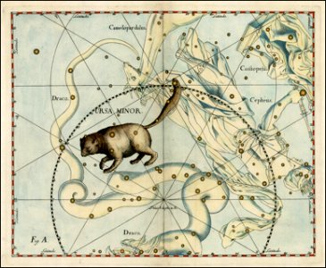 Johannes Hevelius - Ursa Minor
