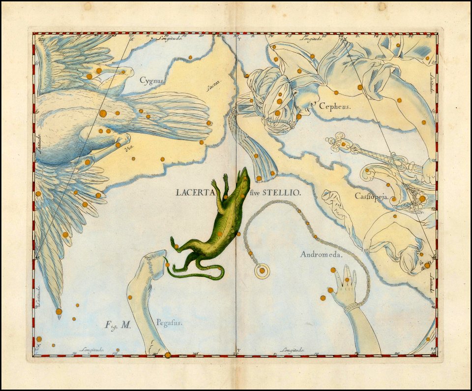 Johannes Hevelius - Lacerta sive Stellio