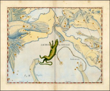 Johannes Hevelius - Lacerta sive Stellio