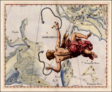 Johannes Hevelius - Andromeda