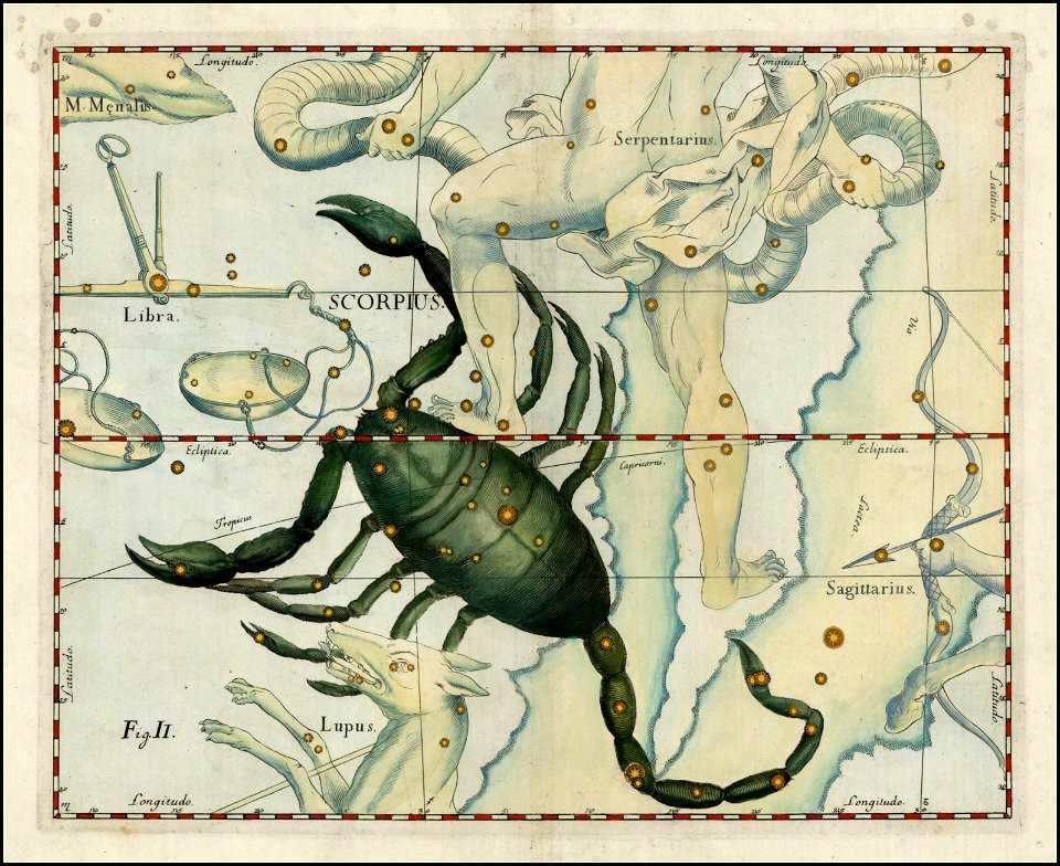 Johannes Hevelius - Scorpius