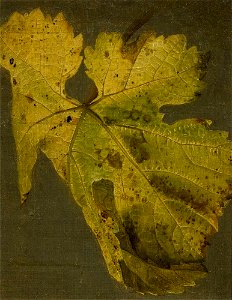 Johann Wilhelm Preyer - Weinblatt 2