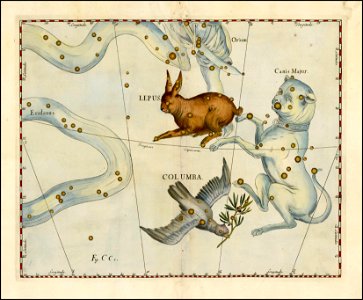 Johannes Hevelius - Lepus, Columba & Canis Major