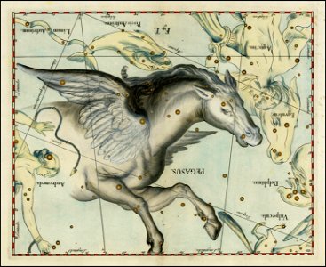 Johannes Hevelius - Pegasus