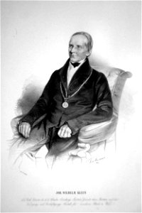 Johann Wilhelm Klein Strixner Litho