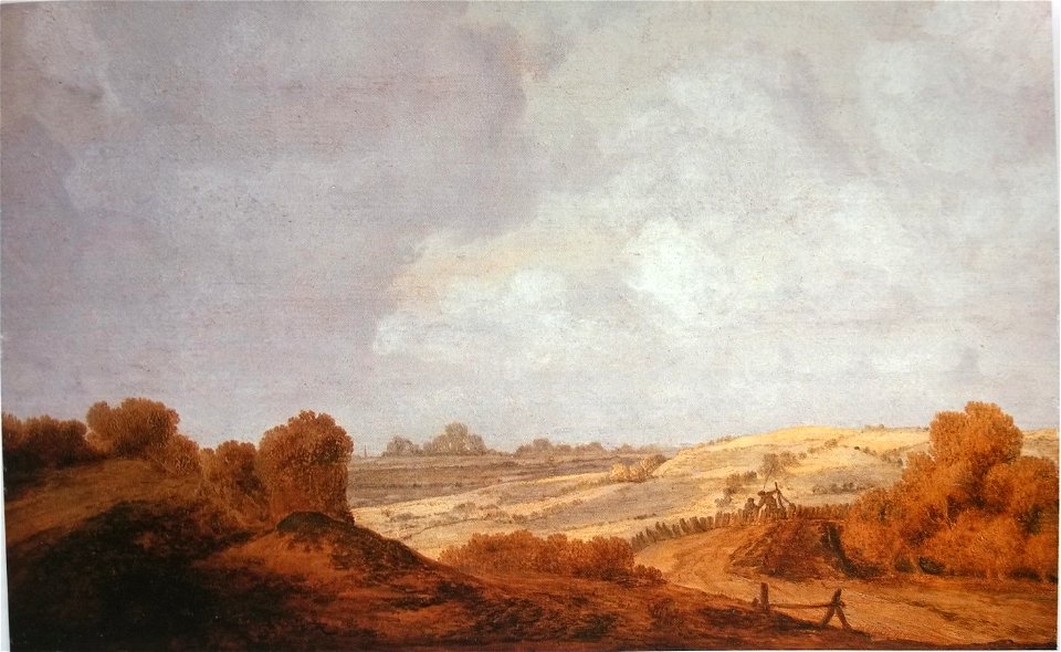 Johannes Goedaert - Dune Landscape on Walcheren