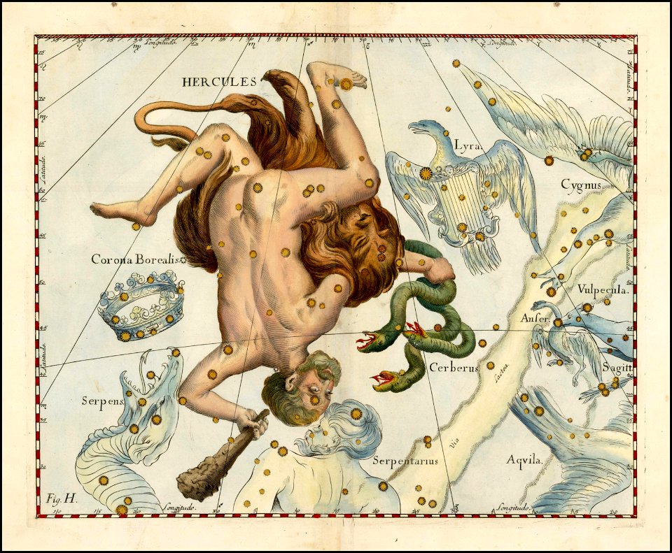 Johannes Hevelius - Hercules