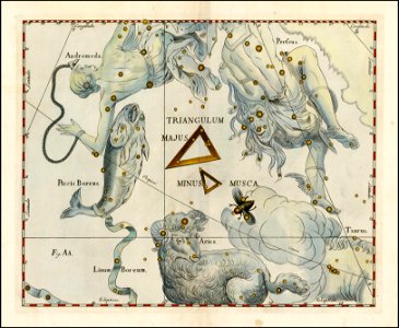 Johannes Hevelius - Triangulum Majus, Triangulum Minus & Musca (also shows Aries, Andromeda, Piscis Boreus and Perseus)