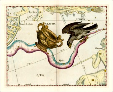 Johannes Hevelius - Hydra, Crater and Corvus