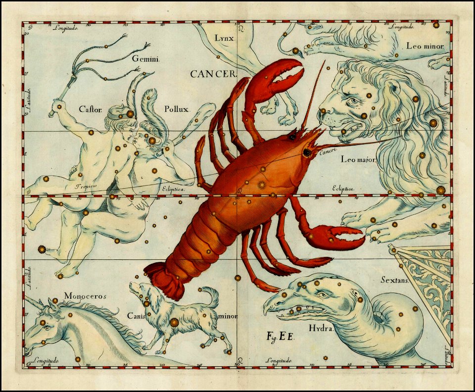 Johannes Hevelius - Cancer
