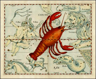 Johannes Hevelius - Cancer
