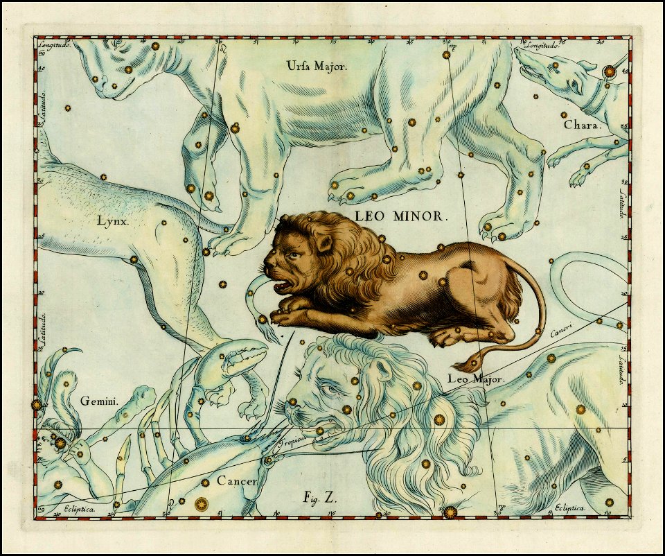 Johannes Hevelius - Leo Minor