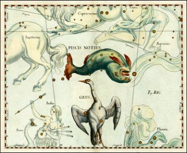 Johannes Hevelius - Piscis Notius & Grus